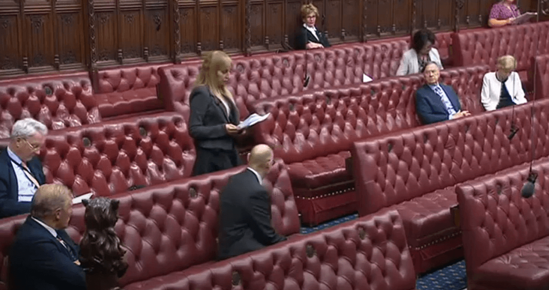 House of Lords Debate - Friday 19th July Members "Creating opportunities: education, early years and healthcare"